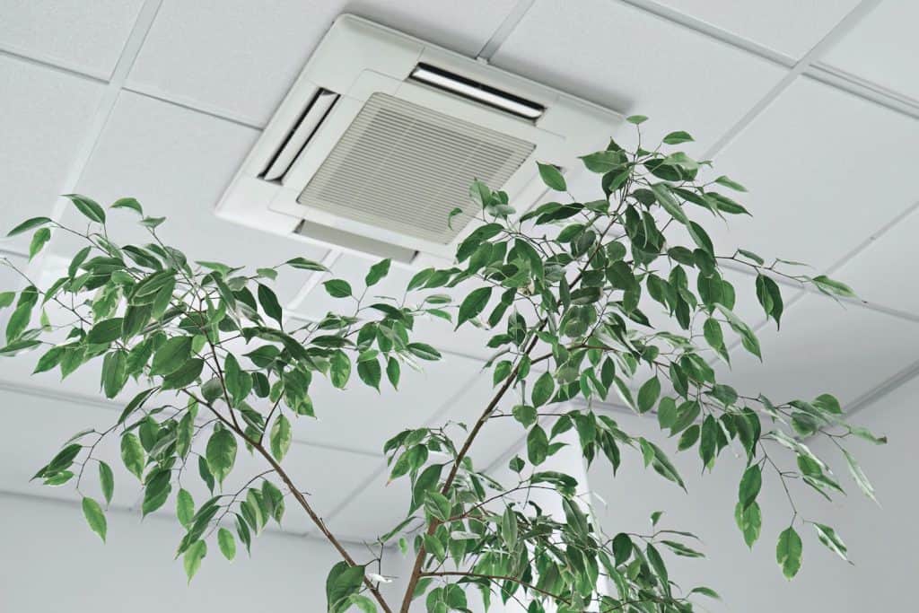 Air Vent with Plant in Front